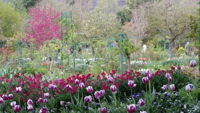 Giverny Jardins